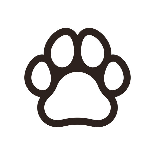 Paw print icon Paw print icon isolated on white background dog clipart stock illustrations