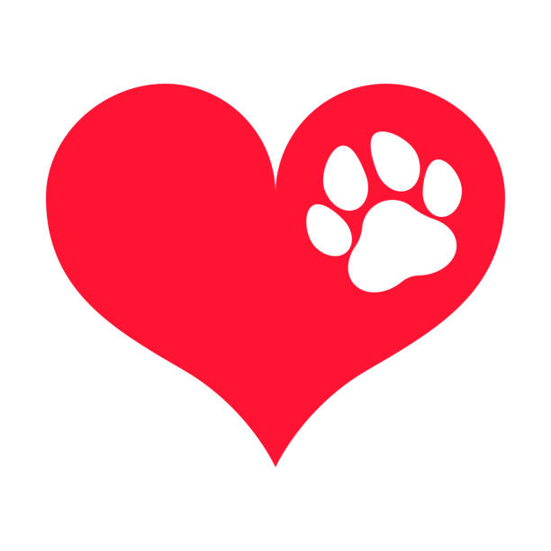 427 paw print border illustrations clip art istock