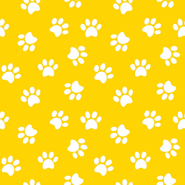 paw print seamless pattern Animal footprint seamless pattern vector illustration dog patterns stock illustrations