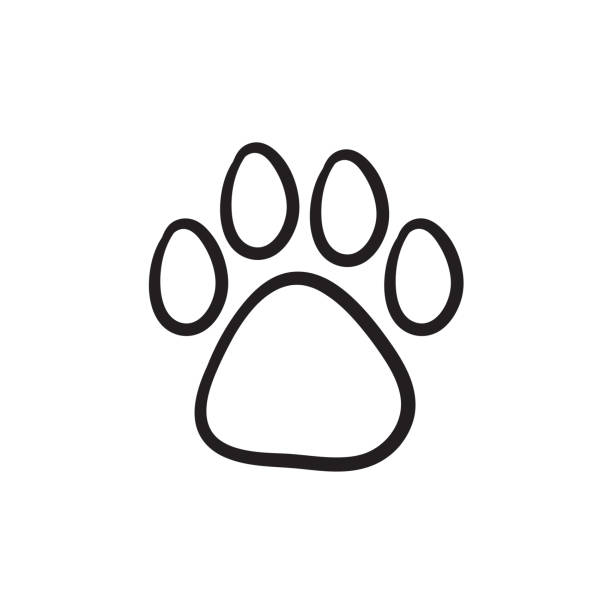 Paw print sketch icon Paw print vector sketch icon isolated on background. Hand drawn Paw print icon. Paw print sketch icon for infographic, website or app. dog drawings stock illustrations