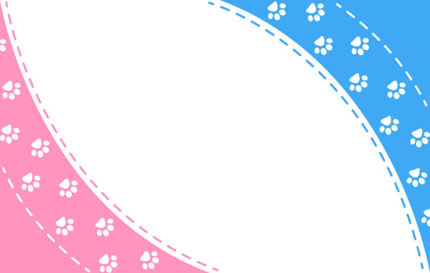 Paw prints pink blue frame background Blue and pink background border with paws with empty space for text. dog borders stock illustrations