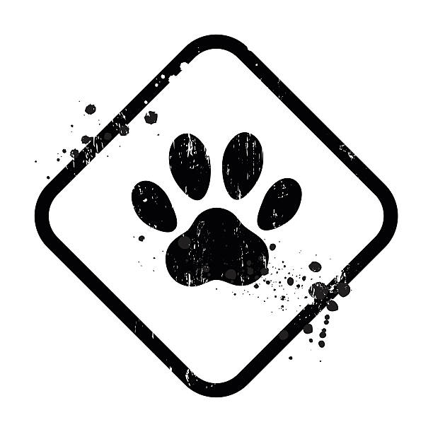 paw sign paw track and grunge frame dog borders stock illustrations