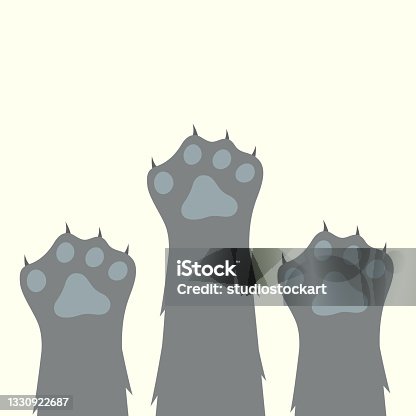istock Paws up pets set isolated on white background 1330922687
