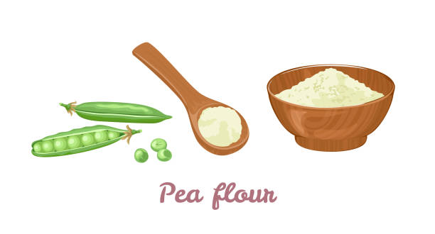 Pea flour in wooden bowl, spoon and green pods with beans isolated on white background. Vector illustration in cartoon flat style. Pea flour in wooden bowl, spoon and green pods with beans isolated on white background. Vector illustration in cartoon flat style. pea protein powder stock illustrations