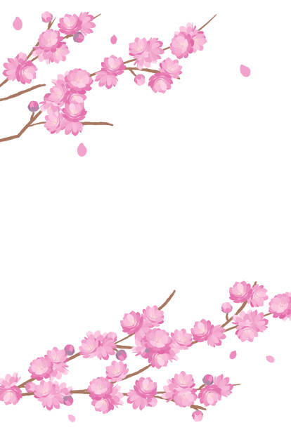 桃の花背景春の花ひな祭り - 桃の花点のイラスト素材／クリップアート素材／マンガ素材／アイコン素材