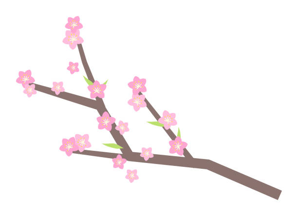 桃の花のベクトルのイラスト - 桃の花点のイラスト素材／クリップアート素材／マンガ素材／アイコン素材
