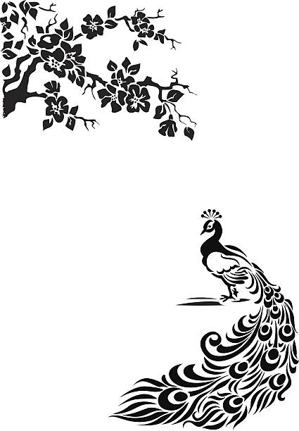 peacock Peacock under a blossoming cherry. The vector document of format А4. It is possible to change the size without illustration deterioration. peacock stock illustrations