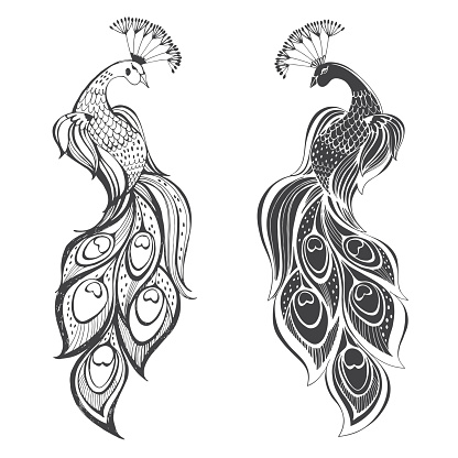 Peacocks. Vector illustration, two variants. Isolated elements on white background.