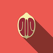Pecan food and drink flat icon series