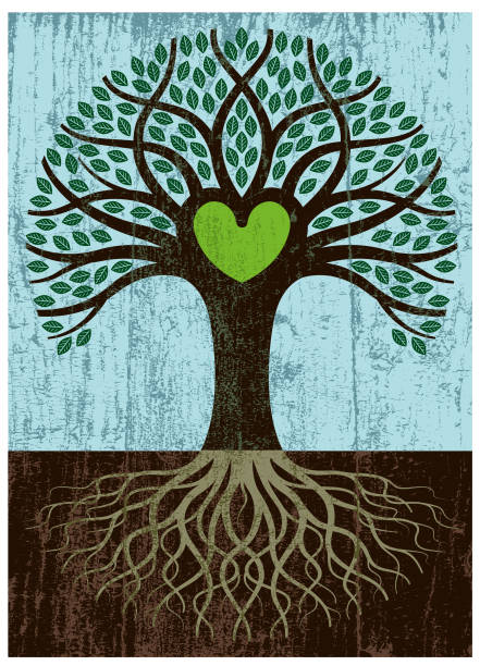 Peeling paint big root heart tree A little heart shaped tree with a grungy texture applied and a green heart, all on a peeling paint background. family tree stock illustrations