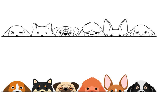 illustrazioni stock, clip art, cartoni animati e icone di tendenza di capolino piccolo cani bordo set - allevatore