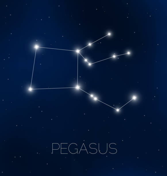Pegasus constellation in night sky  pegasus stock illustrations