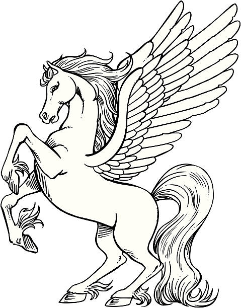 Pegasus Lined illustration of pegasus, winged horse... pegasus stock illustrations