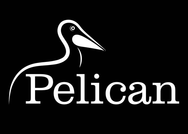Pelican Logo Illustrations, Royalty-Free Vector Graphics & Clip Art ...