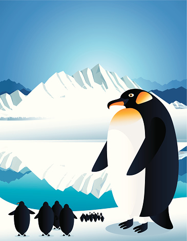 Penguin and ice