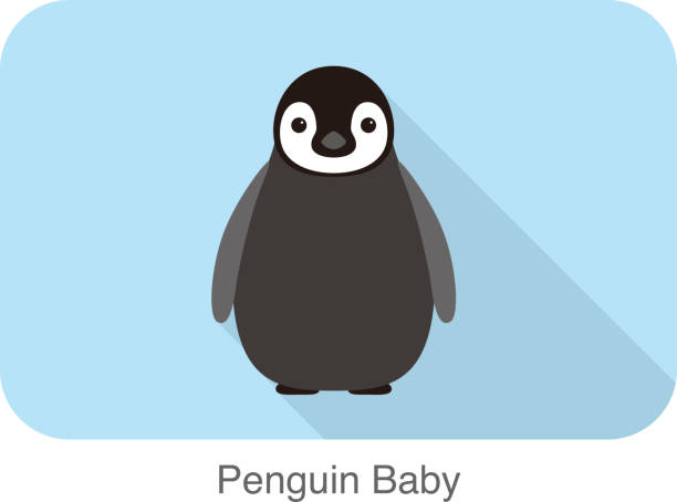 ペンギンベビーして、ペンギンシードシリーズ - ペンギン点のイラスト素材／クリップアート素材／マンガ素材／アイコン素材