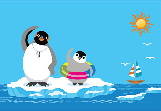 Penguin exercise Vector illustration of  Penguin parent and child exercise. baby penguin stock illustrations