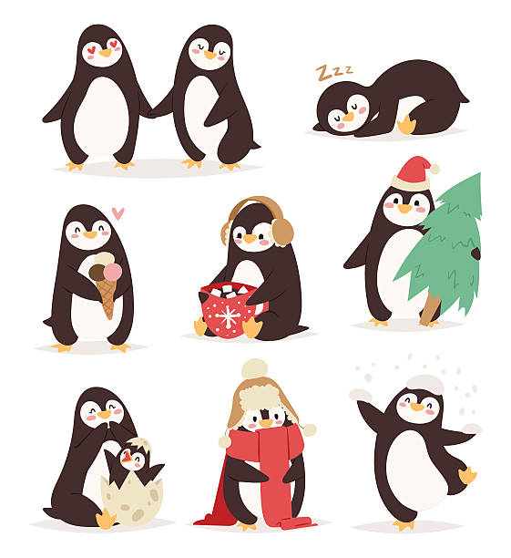 Penguin set vector characters Penguin set vector illustration character. Cartoon funny penguins different situations. Penguin vector cute birds posing. Christmas holiday penguins penguin stock illustrations