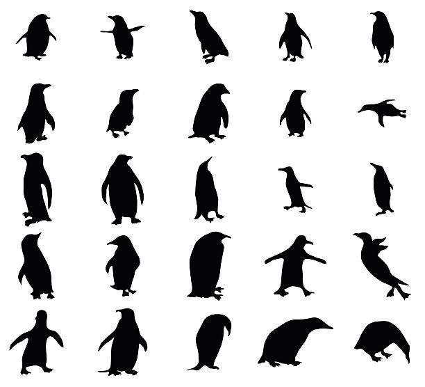 penguin silhouetten set - penguin stock-grafiken, -clipart, -cartoons und -symbole