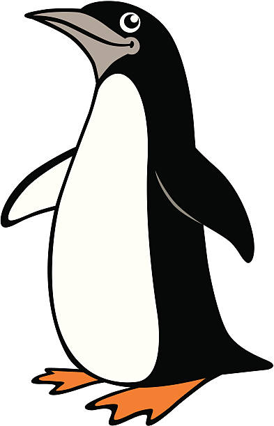 Penguin vector art illustration
