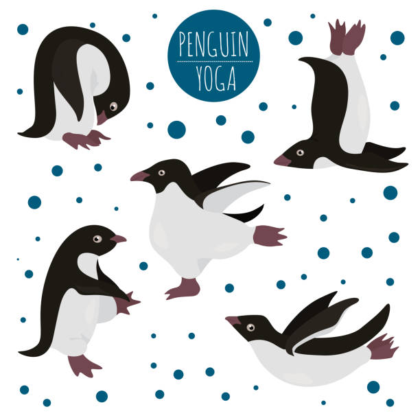 penguin-yoga-poses-and-exercises-cute-cartoon-clipart-set-vector-id1250290061?k=20&m=1250290061&s=612x612&w=0&h=RkdD77wpc2DDs6lvBLmROO_iXyY5MHRjvHz2d8JPJok=
