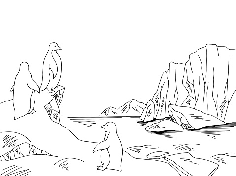 https www istockphoto com tr vekt c3 b6r antartikada penguenler buzda c4 9f c4 b1 grafik siyah beyaz manzara ill c3 bcstrasyon vekt c3 b6r kroki gm1040847144 278635839