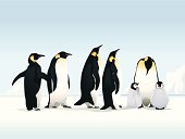 istock Penguins on ice 165748662