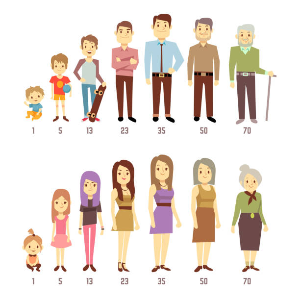 People generations at different ages man and woman from baby People generations at different ages man and woman from baby to old. Mother, father and young teenager, boyand girl illustration mother clipart stock illustrations