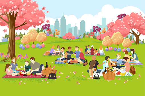 People Having Picnic at the Park During Spring