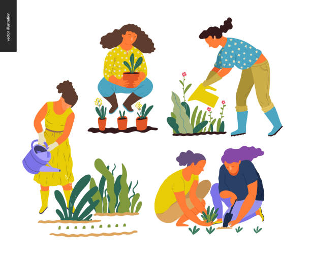 People summer gardening People summer gardening - set of vector flat hand drawn illustrations of people doing garden job - watering, planting, growing and transplant sprouts, self-sufficiency concept gardening stock illustrations