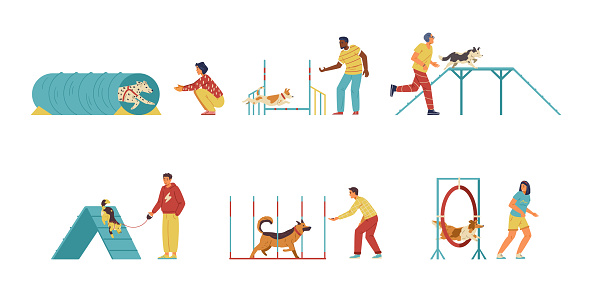 People training their dogs on agility field