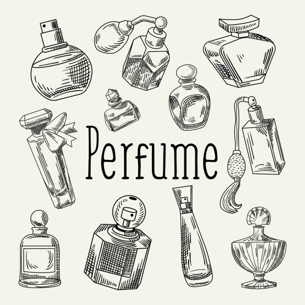 ilustrações de stock, clip art, desenhos animados e ícones de perfume bottles hand drawn doodle. french aroma. woman beauty shop sketch - sniffing glass