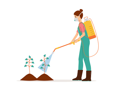 Person spraying chemical pesticide on plants. Cartoon agriculture worker