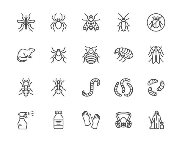 해충 제어 플랫 라인 아이콘 설정. 곤충 - 모기, 거미, 파리, 바퀴벌레, 쥐, 흰개미, 스프레이 벡터 그림. 소독 서비스에 대한 개요 표지판. 픽셀 완벽한 64x64. 편집 가능한 스트로크 - 바이러스 stock illustrations