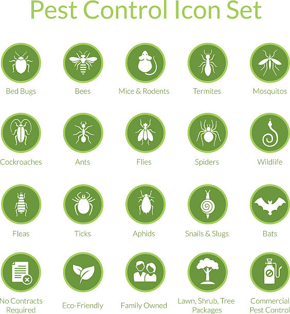 Pest Control Icon set Vector icon set with insects like flies, cockroaches, bed bugs, spiders and termites for pest control companies pest stock illustrations