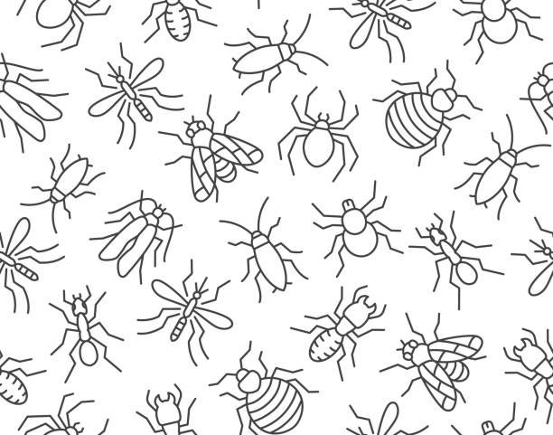 플랫 라인 아이콘과 해충 제어 원활한 패턴. 곤충 배경 - 모기, 거미, 파리, 바퀴벌레, 개미, 흰개미 벡터 삽화 근절 서비스 - 곤충 stock illustrations