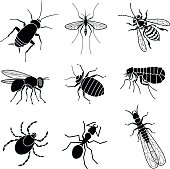 Vector icons of pest insects people want to exterminate: cockroach, mosquito, yellow jacket bee, housefly, bed bug, flea, tick, ant, and termite.