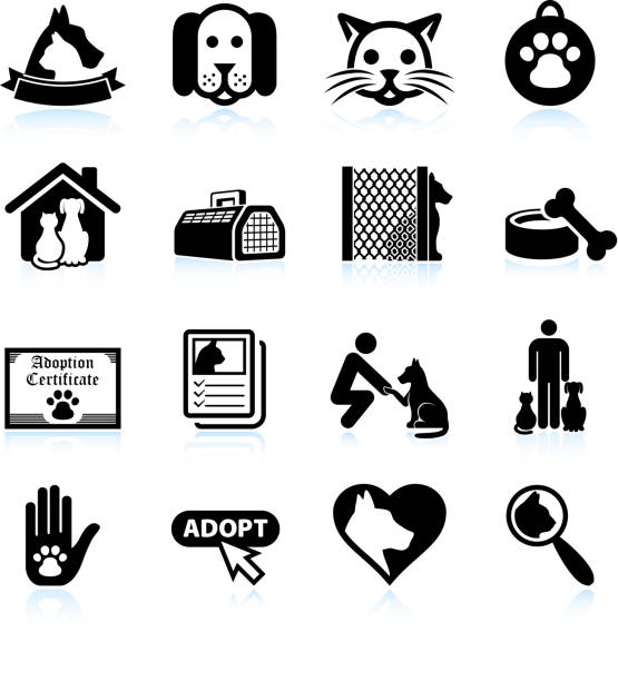 bildbanksillustrationer, clip art samt tecknat material och ikoner med pet adoption black and white royalty free vector icon set - cat leash