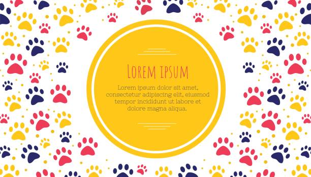 pet advertising banner templates. Place for text. veterinary clinic and zoo shop. grooming. paw ornament pet advertising banner templates. Place for text. veterinary clinic and zoo shop. Design layout grooming. paw ornament dog borders stock illustrations
