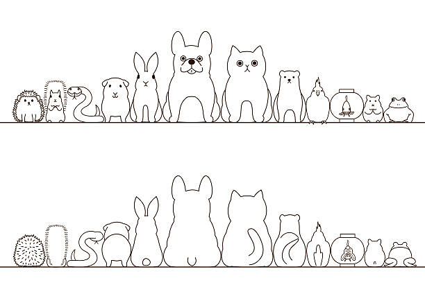 pet animals border set, front view and rear view, line art pet animals border set, front view and rear view, line art. snake with its tongue out stock illustrations