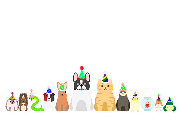 pet animals with party hat border set pet animals with party hat border set. snake with its tongue out stock illustrations