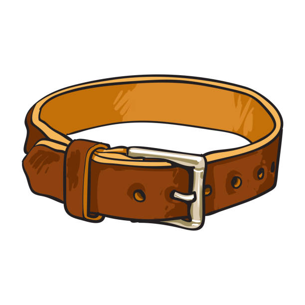 Leather Collar Illustrations, Royalty-Free Vector Graphics & Clip Art ...