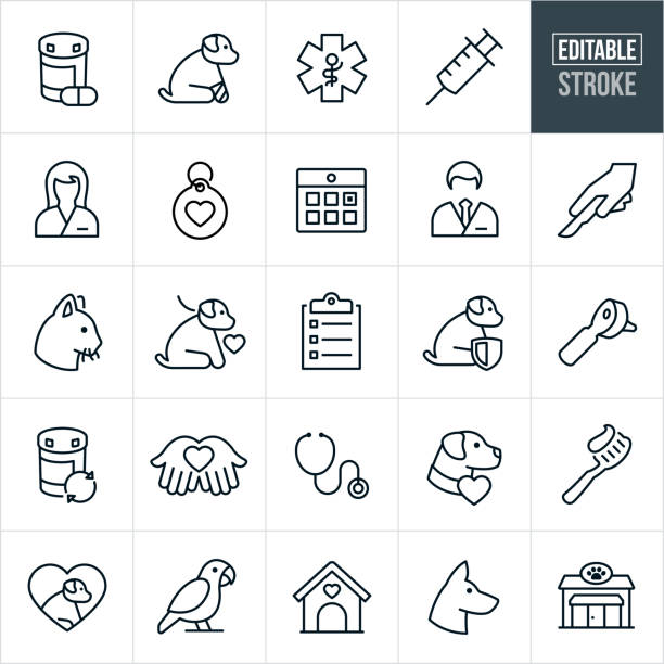A set of vet or pet healthcare icons with editable strokes or outlines using the EPS file. The icons include vets, dog, cat, parrot, pets, animals, medication, immunization, dog tag, pet insurance, calendar, surgery, checklist, dental care, pet shop and other related pet care icons.