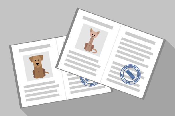 Pet passports Cat and dog passports with veterinarian stamps. Pet documents animal photography stock illustrations