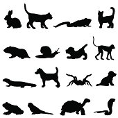 A collection of pet silhouettes. This includes a rabbit, cat, lizard, hamster, snail, puppy, monkey, newt, dog, spider, tarantula,  frog, budgie, tortoise and snake.