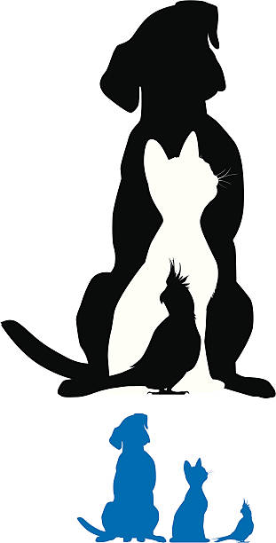 Pet Silhouette Outline of a dog, cat, and bird. This file is layered and ready for editing. dog silhouettes stock illustrations