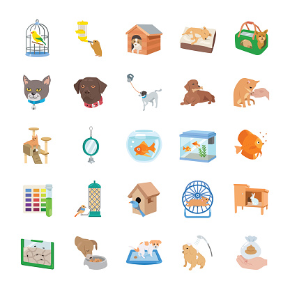 Pet supplies vector icons