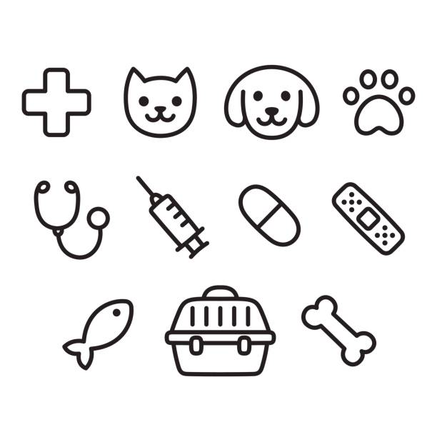Pet vet icon set Cute vet icon set. Hand drawn line icons of pets, toys and veterinary equipment. dog icons stock illustrations