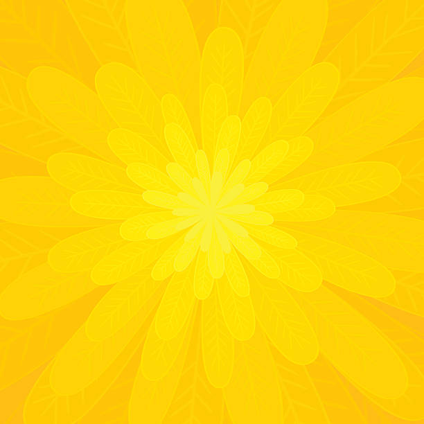 Petals of a bright yellow flower vector art illustration