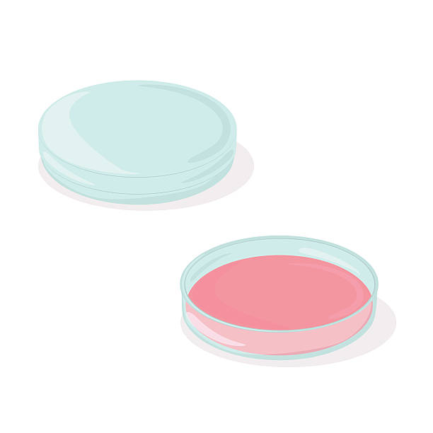 Petri dish Petri dish. Vector illustration. Can be used in web design, printed on fabric/paper, as a background, or as an element in a composition petri dish stock illustrations
